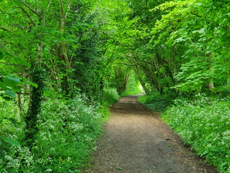 Cotswold Way - von Charlton Kings nach Birdlip