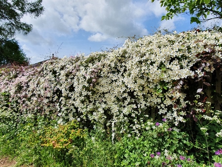 Cotswold Way - von Charlton Kings nach Birdlip