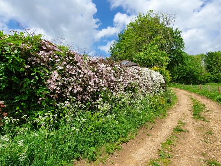 Cotswold Way - von Charlton Kings nach Birdlip