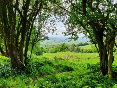 Cotswold Way - von Charlton Kings nach Birdlip