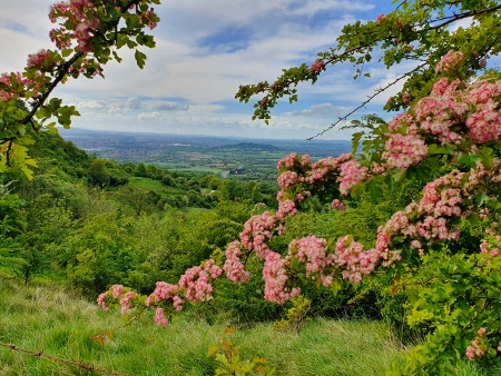 Cotswold Way - von Charlton Kings nach Birdlip