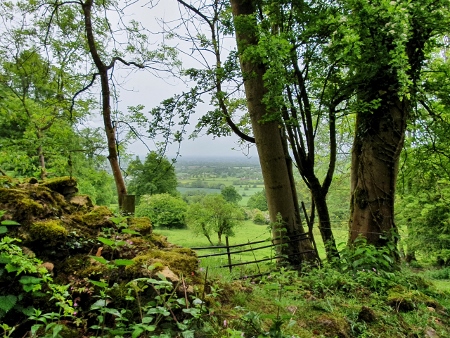 Cotswold Way - von Birdlip nach Painswick