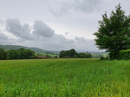Cotswold Way - von Painswick nach Kings Stanley