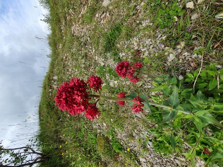 Cotswold Way - von Painswick nach Kings Stanley