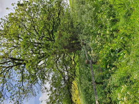 Cotswold Way - von Painswick nach Kings Stanley