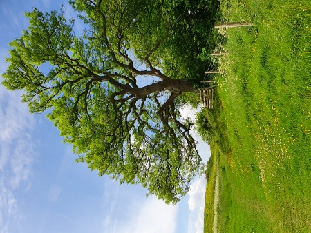 Cotswold Way - von Painswick nach Kings Stanley
