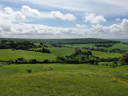 Cotswold Way - von Painswick nach Kings Stanley - Haresfield Beacon