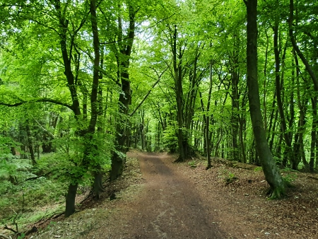 Cotswold Way - von Painswick nach Kings Stanley