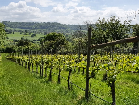 Cotswold Way - von Painswick nach Kings Stanley