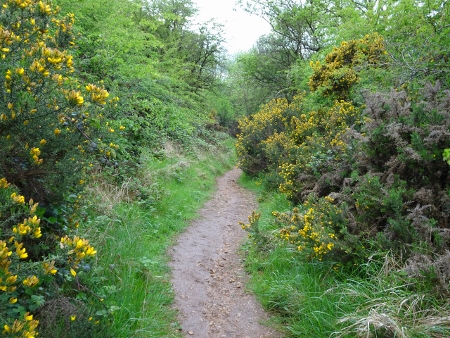 Cotswold Way - von Broadway nach Winchcombe