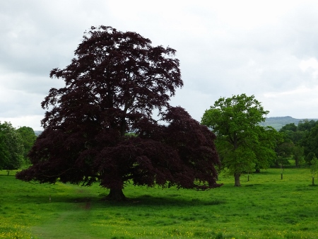Cotswold Way - von Broadway nach Winchcombe