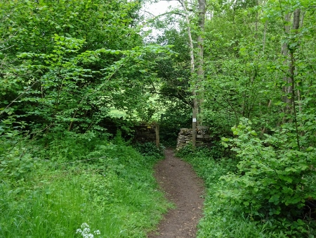Cotswold Way - von Charlton Kings nach Birdlip