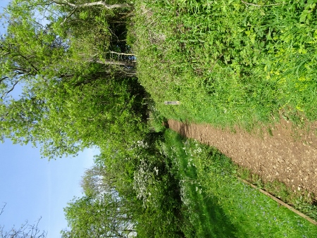 Cotswold Way - von Charlton Kings nach Birdlip