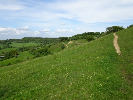 Cotswold Way - von Charlton Kings nach Birdlip