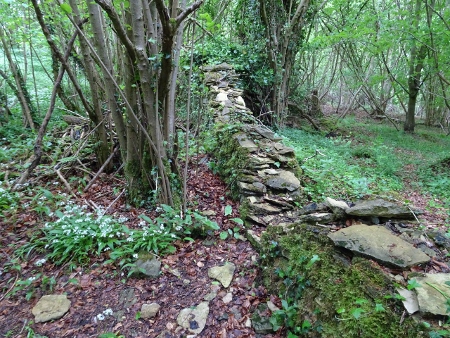 Cotswold Way - von Birdlip nach Painswick