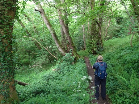 Cotswold Way - von Painswick nach Kings Stanley