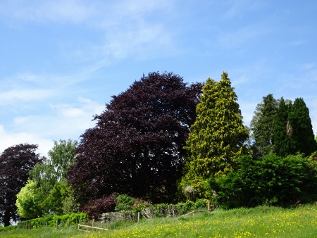 Cotswold Way - von Painswick nach Kings Stanley
