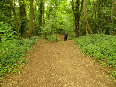 Cotswold Way - von Kings Stanley nach Wotton-under-Edge