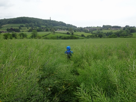 Cotswold Way - von Kings Stanley nach Wotton-under-Edge