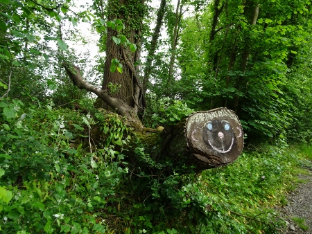 Cotswold Way - von Kings Stanley nach Wotton-under-Edge