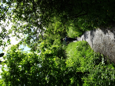 Cotswold Way - von Wotton-under-Edge nach Old Sodbury