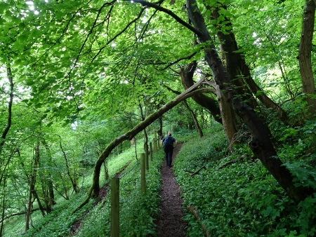 Cotswold Way - von Wotton-under-Edge nach Old Sodbury