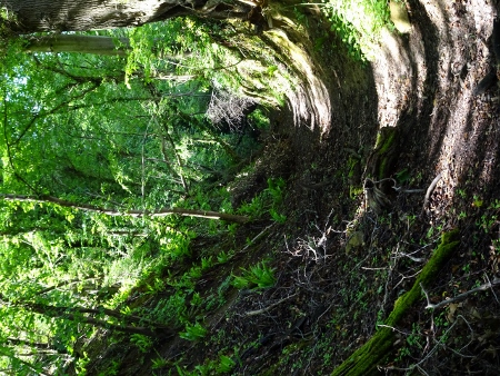 Cotswold Way - von Wotton-under-Edge nach Old Sodbury