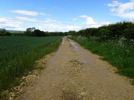 Cotswold Way - von Wotton-under-Edge nach Old Sodbury