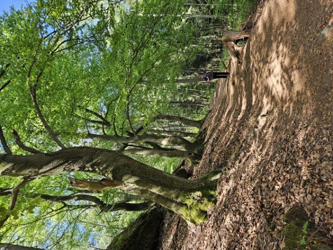 3 Steine Tour - Und wieder bergauf, jetzt aber richtig!