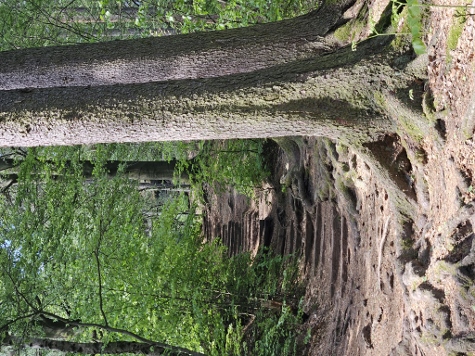 3 Steine Tour - Und wieder bergauf, jetzt aber richtig!