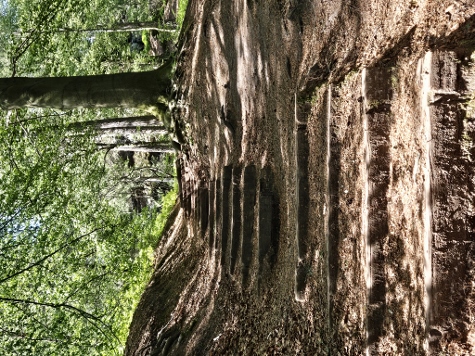 3 Steine Tour - Und wieder bergauf, jetzt aber richtig!