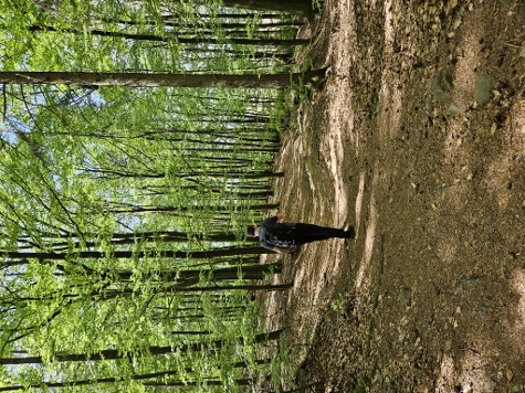 3 Steine Tour - Die Erde hat uns wieder