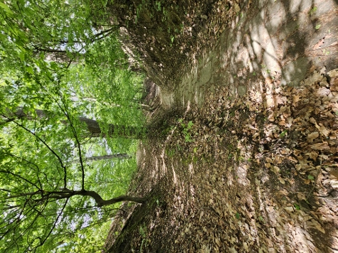3 Steine Tour - Wieder ebenen Boden unter den Füßen