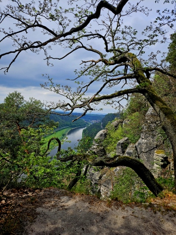 Aufstieg zur Bastei - ...und voller Bäume
