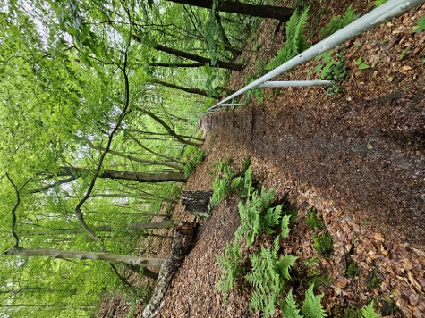 ...und ein Blick nach oben