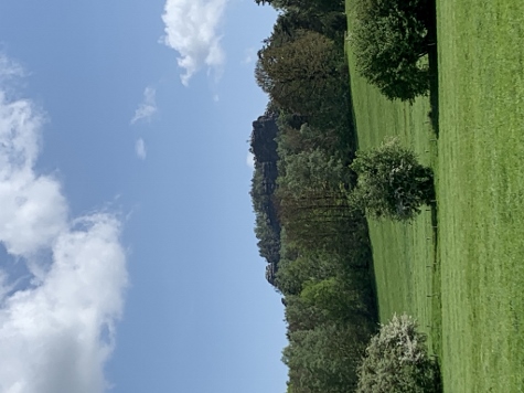 Gohrischstein, vom Kurort Gohrisch aus gesehen