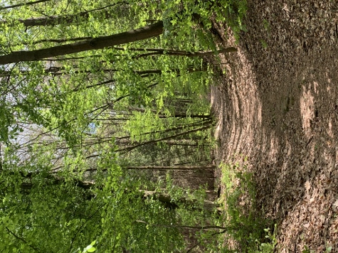 3 Steine Tour - Wieder ebenen Boden unter den Füßen