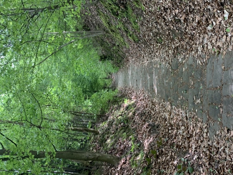 3 Steine Tour - Wieder ebenen Boden unter den Füßen