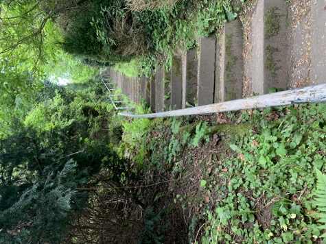 3 Steine Tour - Treppab nach Königstein