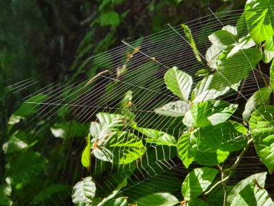 Auf dem Weg zum Schulerloch
