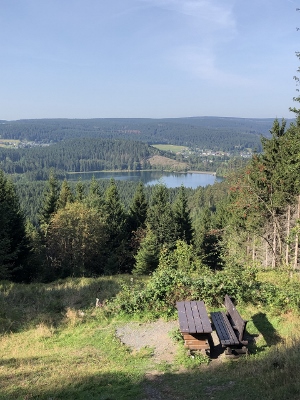 Von Neuhaus am Rennweg nach Masserberg - Ausblick "Wiedmannsheil"