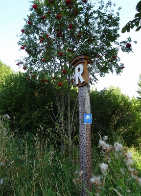 Von Neuhaus am Rennweg nach Masserberg - Wegweiser