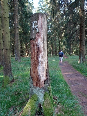 Von Neuhaus am Rennweg nach Masserberg - Wegweiser