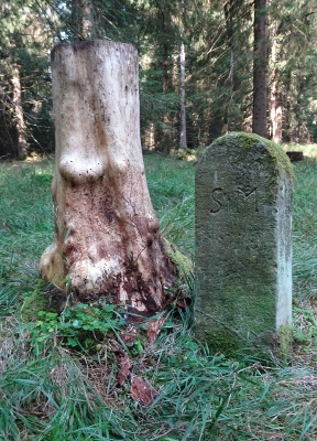 Von Neuhaus am Rennweg nach Masserberg - Grenzstein