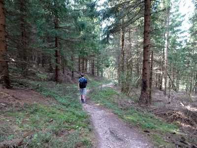 Von Neuhaus am Rennweg nach Masserberg - Bergziegenpfad