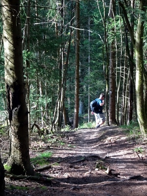 Von Neuhaus am Rennweg nach Masserberg - Bergziegenpfad