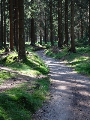 Von Neuhaus am Rennweg nach Masserberg - Dreistromstein