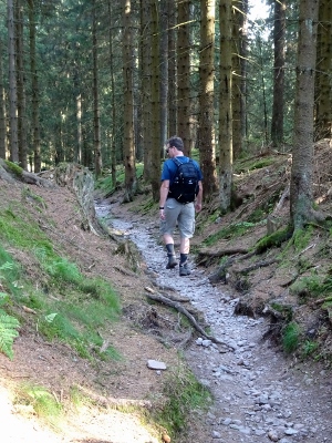 Von Masserberg nach Schmiedefeld - Ausgetretene Pfade