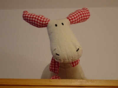 Von Masserberg nach Schmiedefeld - Mitbewohner im Hotel Gastinger