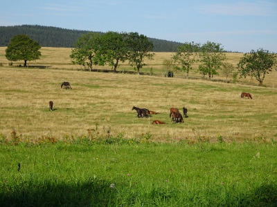 Von Schmiedefeld nach Oberhof - Start in Schmiedefeld